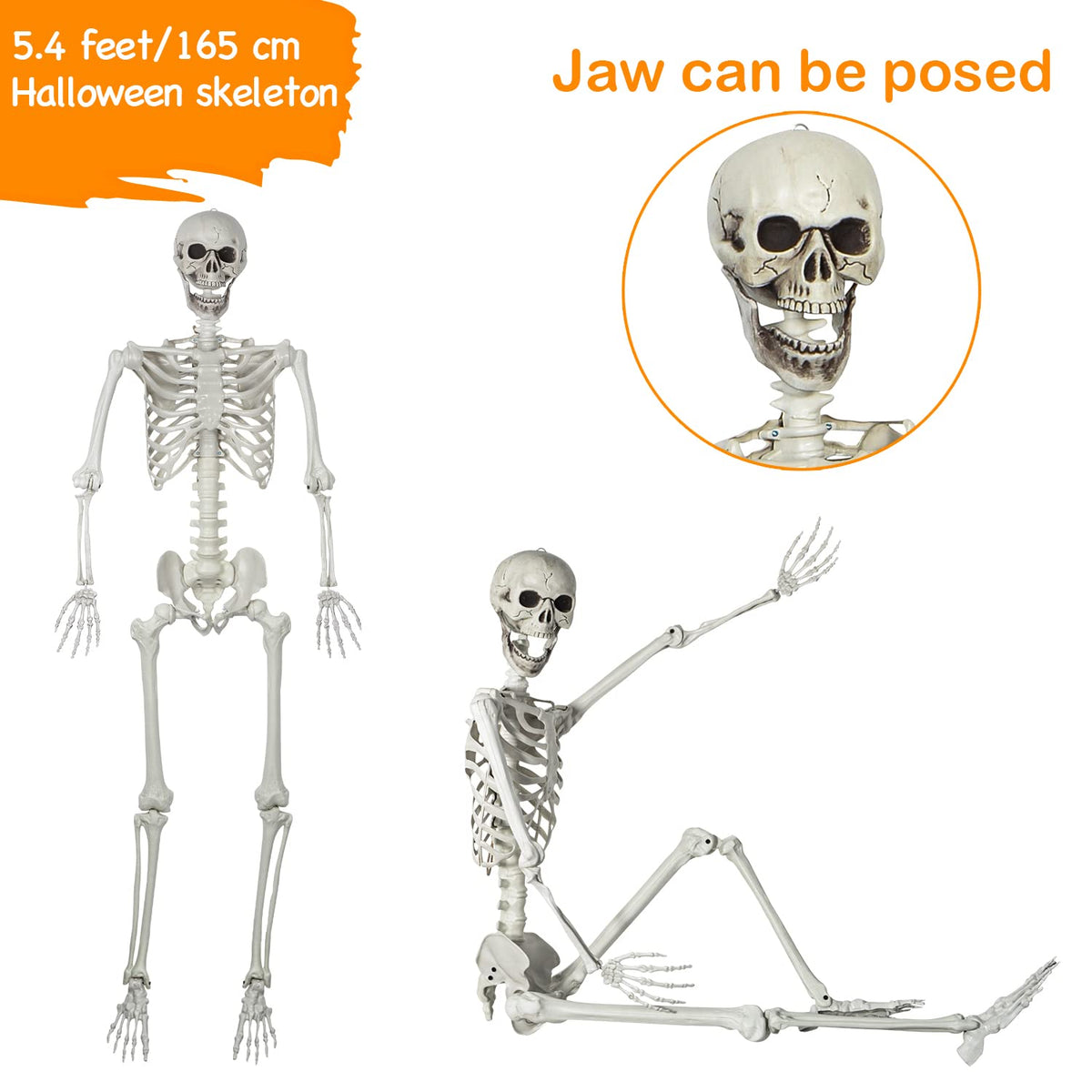 5.4ft Posable Full Body Skeleton with Movable Joints N536