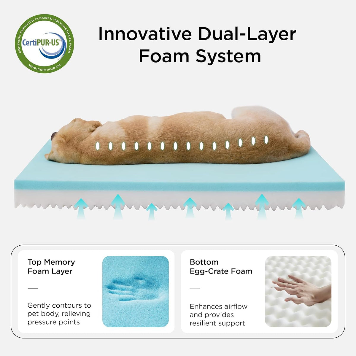 Memory Foam Dog Bed 35x22 G117555