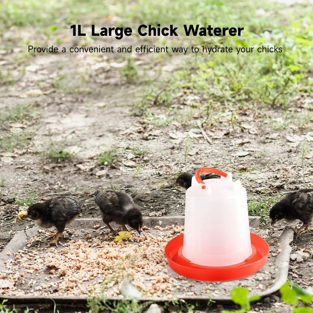 4-Pack 1L Poultry Waterer with Handle C572