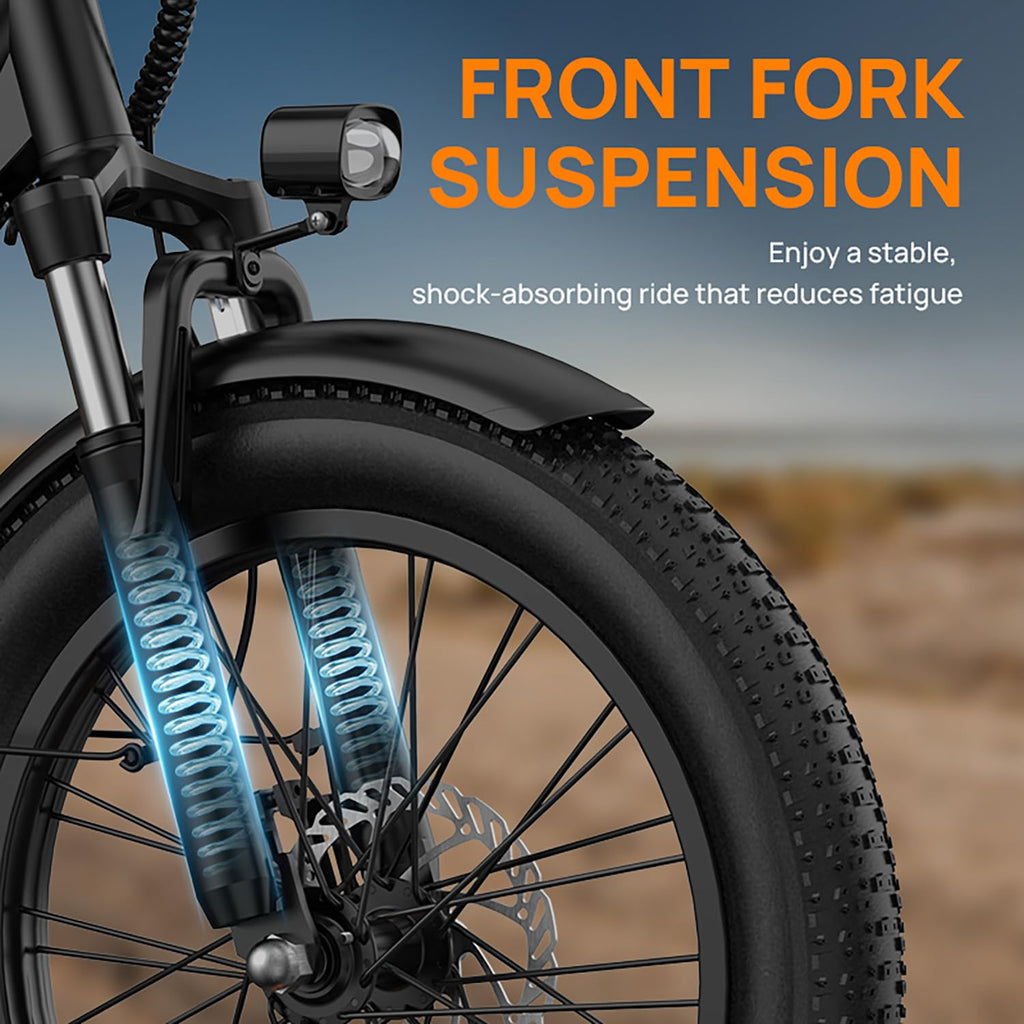 20" Fat Tire Electric Bike with 1000W Motor M48051