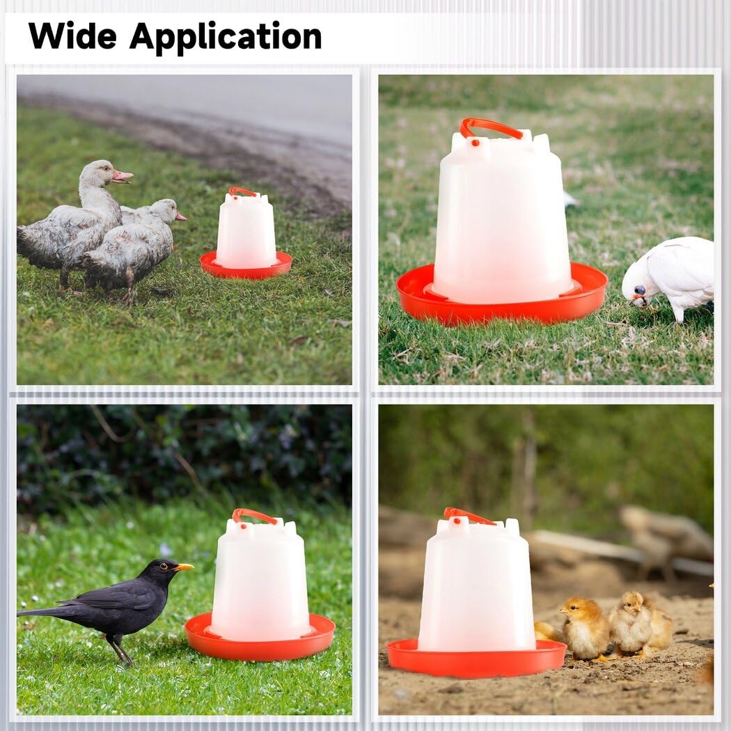 4-Pack 1L Poultry Waterer with Handle C572