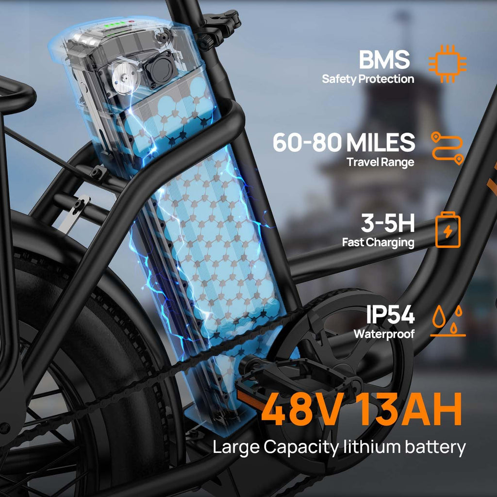 20" Fat Tire Electric Bike with 1000W Motor M48051
