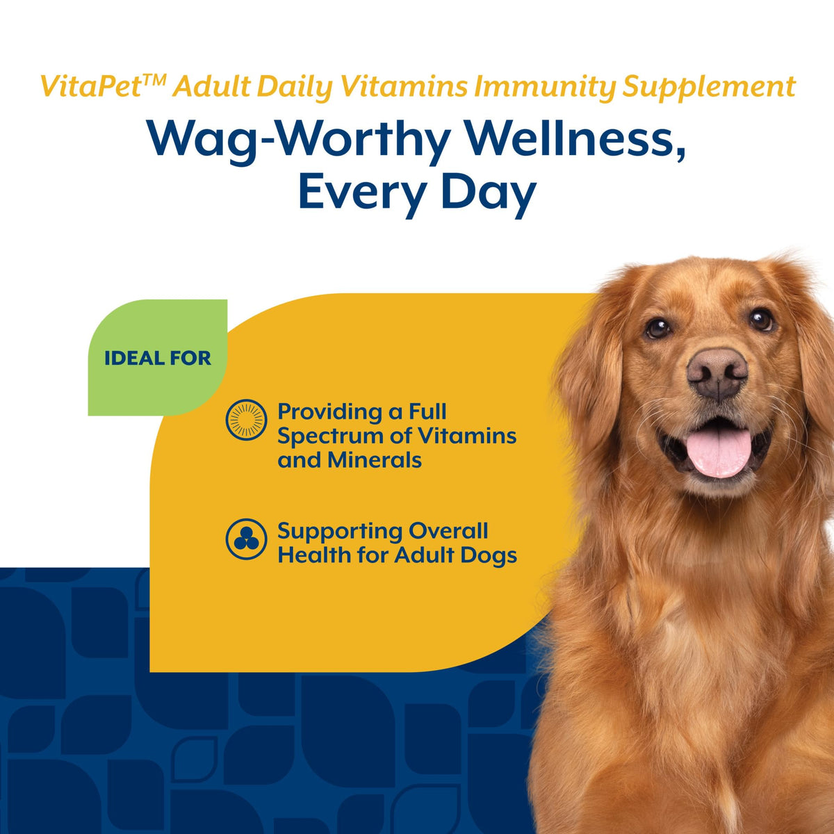 Adult Daily Vitamins with Breath Aid for Dogs 60 Ct Z280
