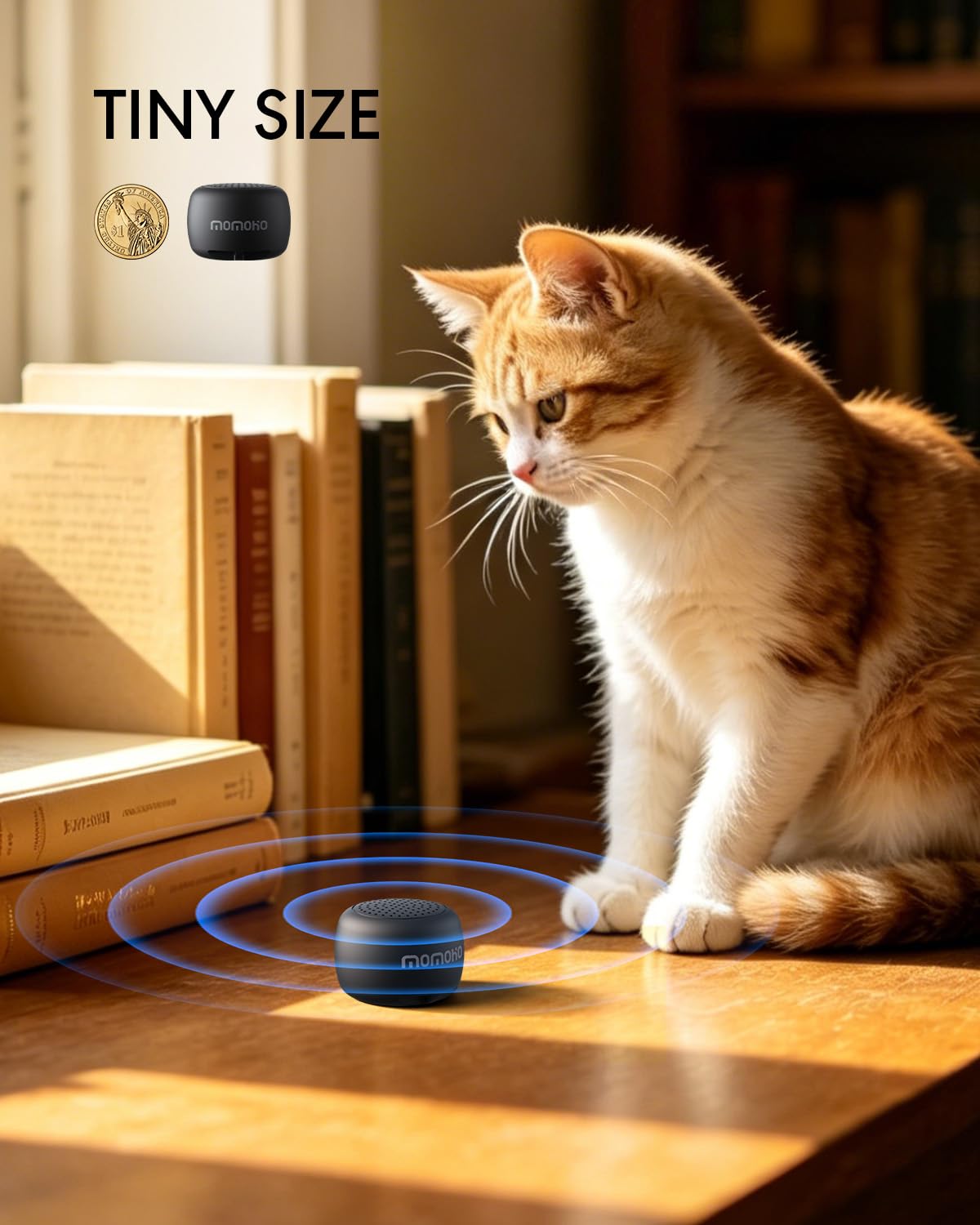 Mini Bluetooth Speaker with Built in Mic Q713575