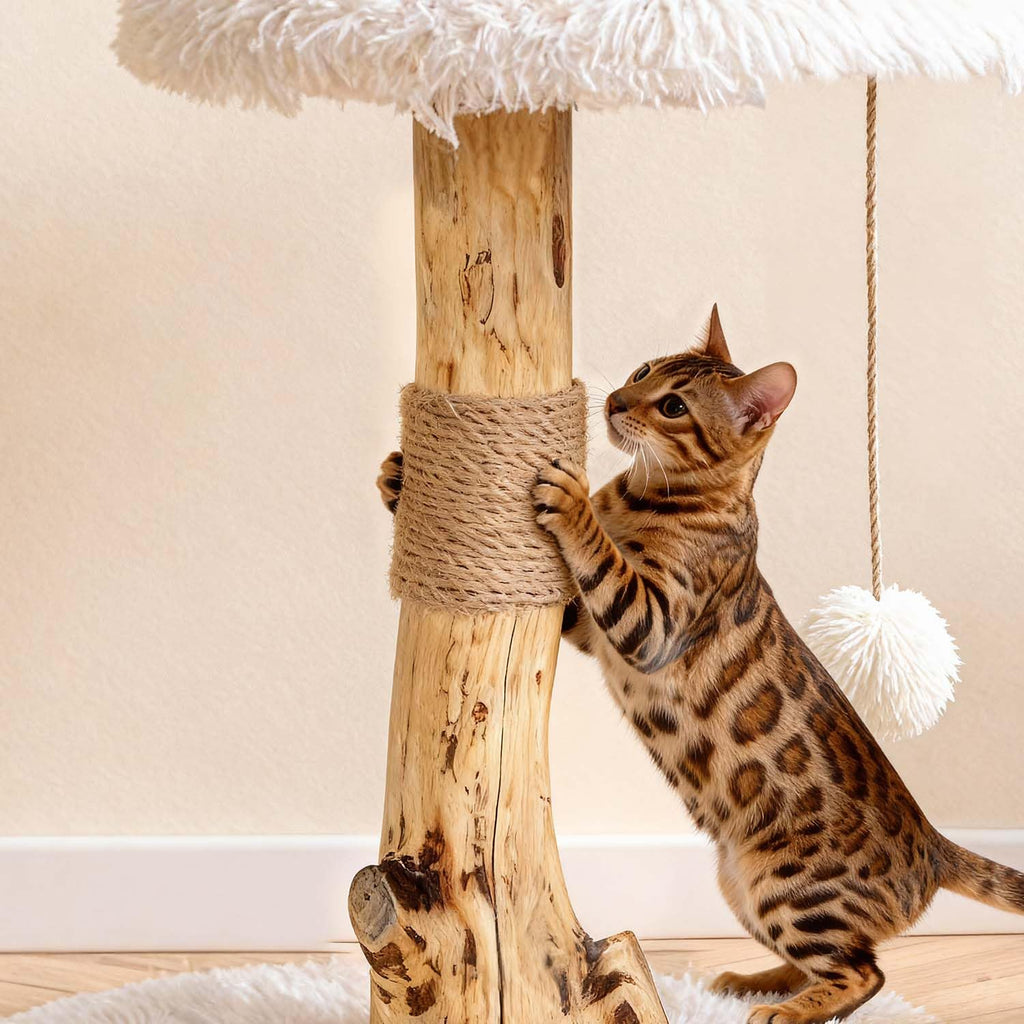 Modern Cat Tree Tower with Sisal Scratching Post J930