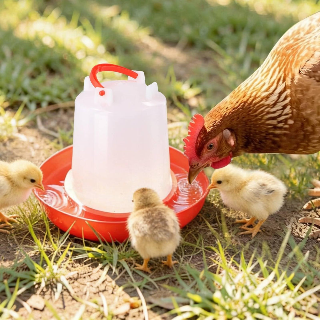 4-Pack 1L Poultry Waterer with Handle C572