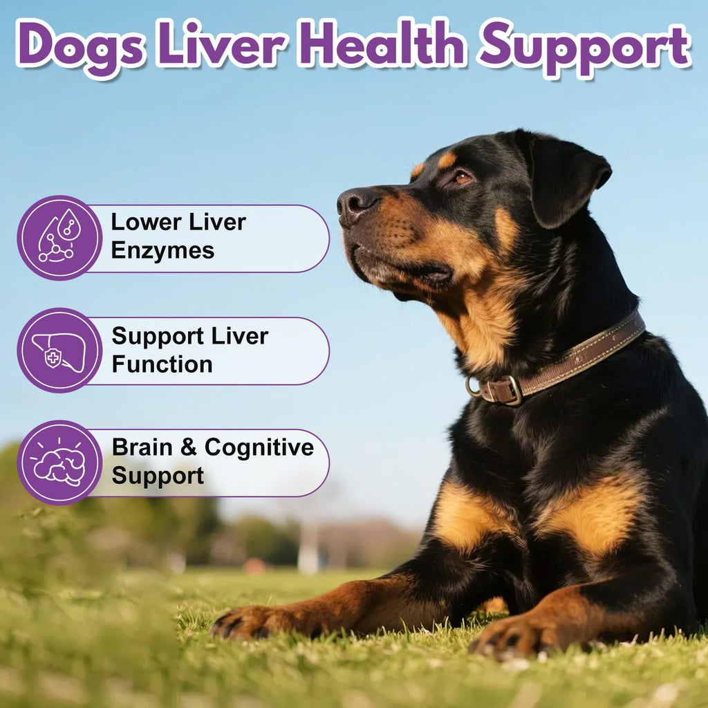 Large Dog Liver Support with 425 mg S-Adenosylmethionine & Silybin A+B, 30 Tablets R88498