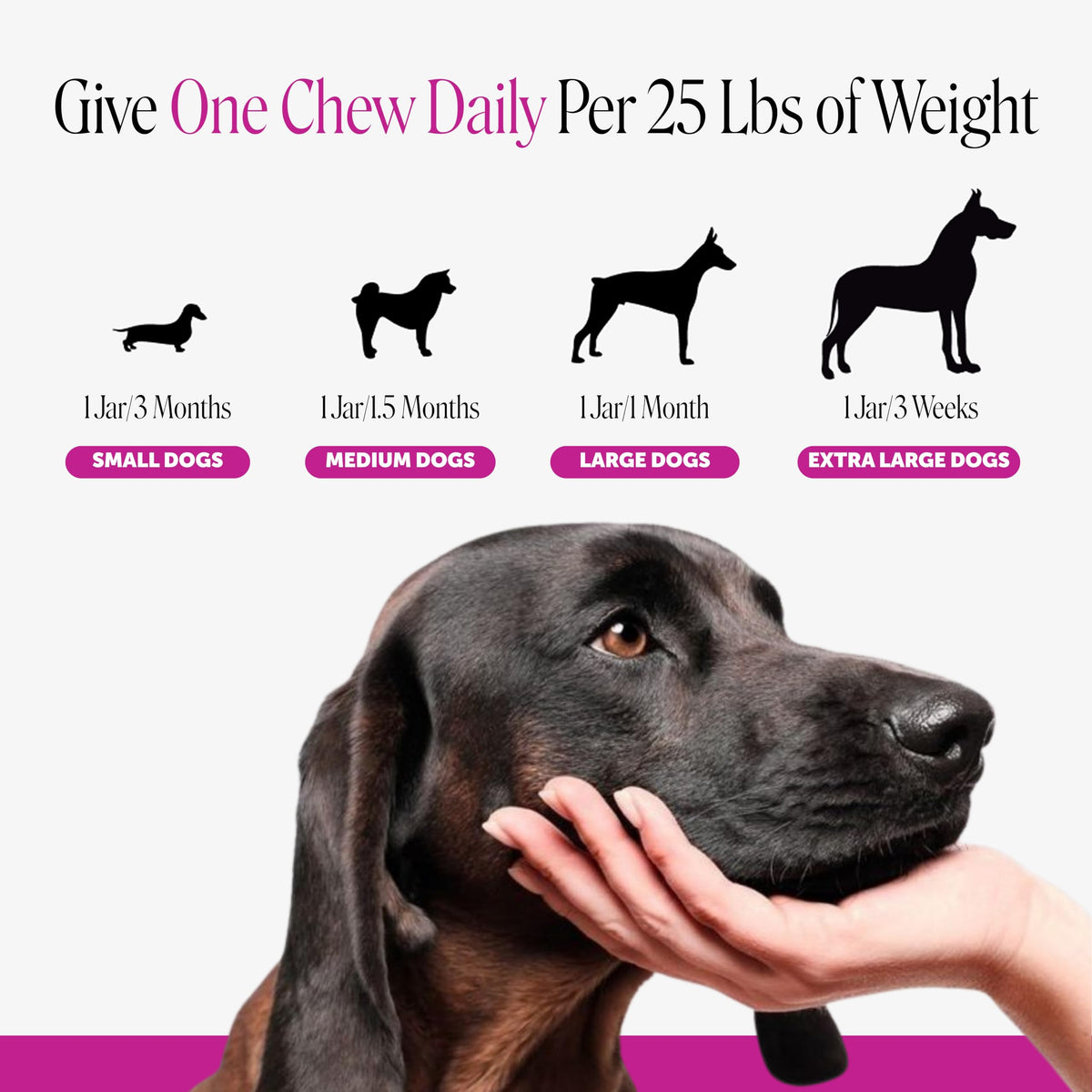 90 Ct Dog Multivitamin G7760