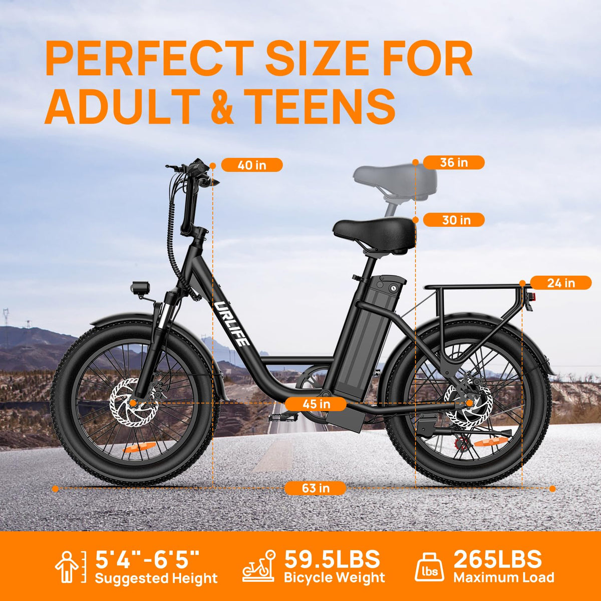 20" Fat Tire Electric Bike with 1000W Motor M48051