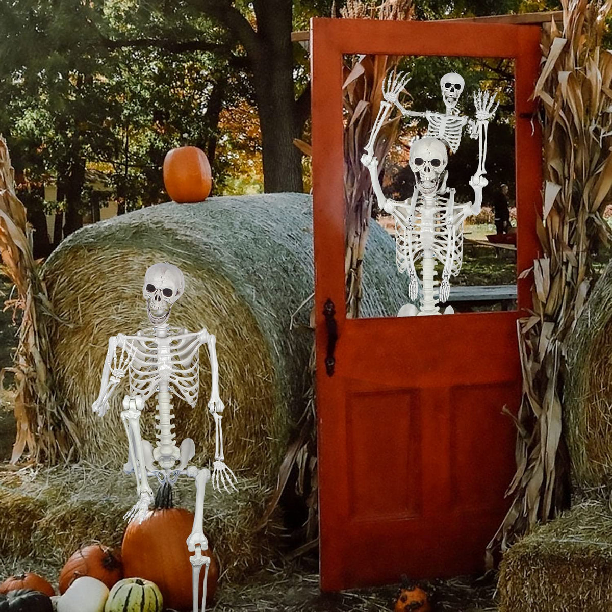 5.4ft Posable Full Body Skeleton with Movable Joints N536