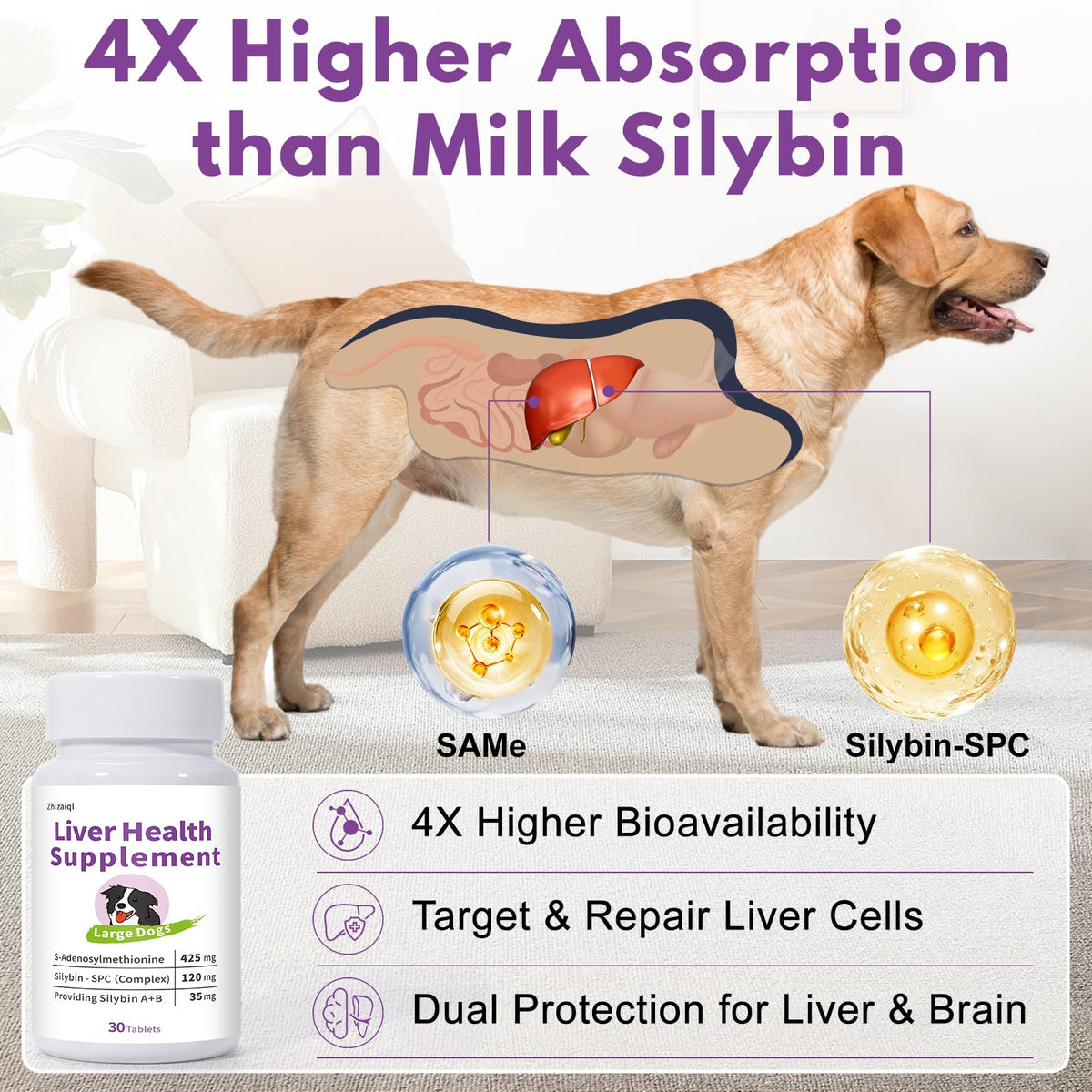 Large Dog Liver Support with 425 mg S-Adenosylmethionine & Silybin A+B, 30 Tablets R88498