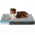 Memory Foam Dog Bed 35x22 G117555