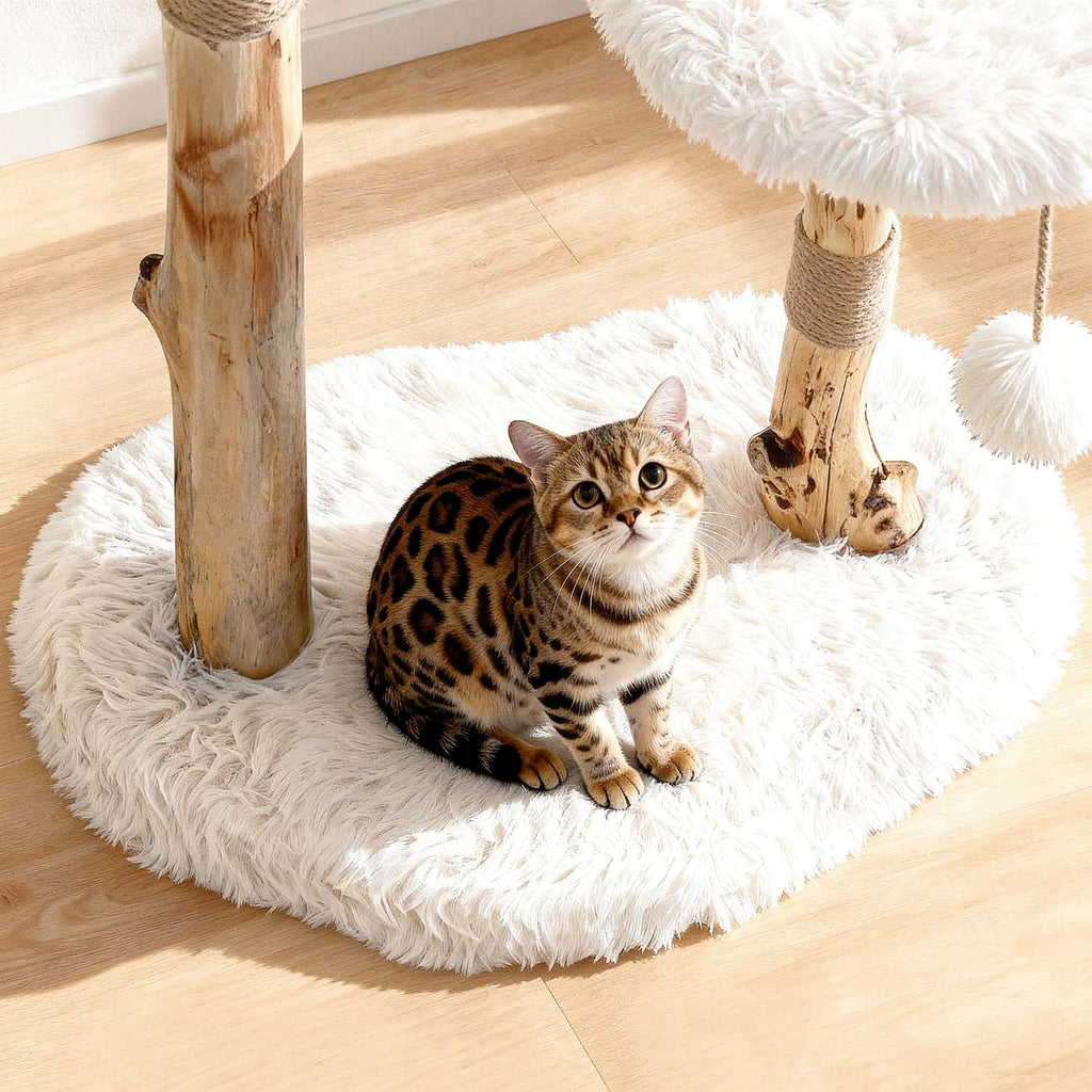 Modern Cat Tree Tower with Sisal Scratching Post J930
