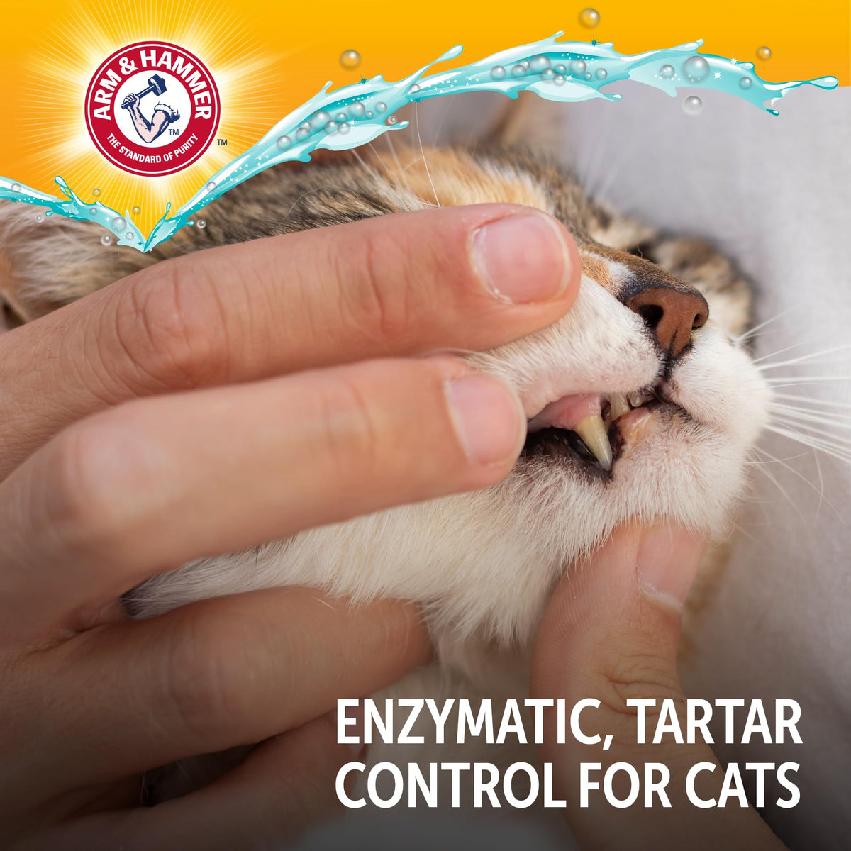 Tuna Flavor 2.5 Oz Cat Dental Kit A1332