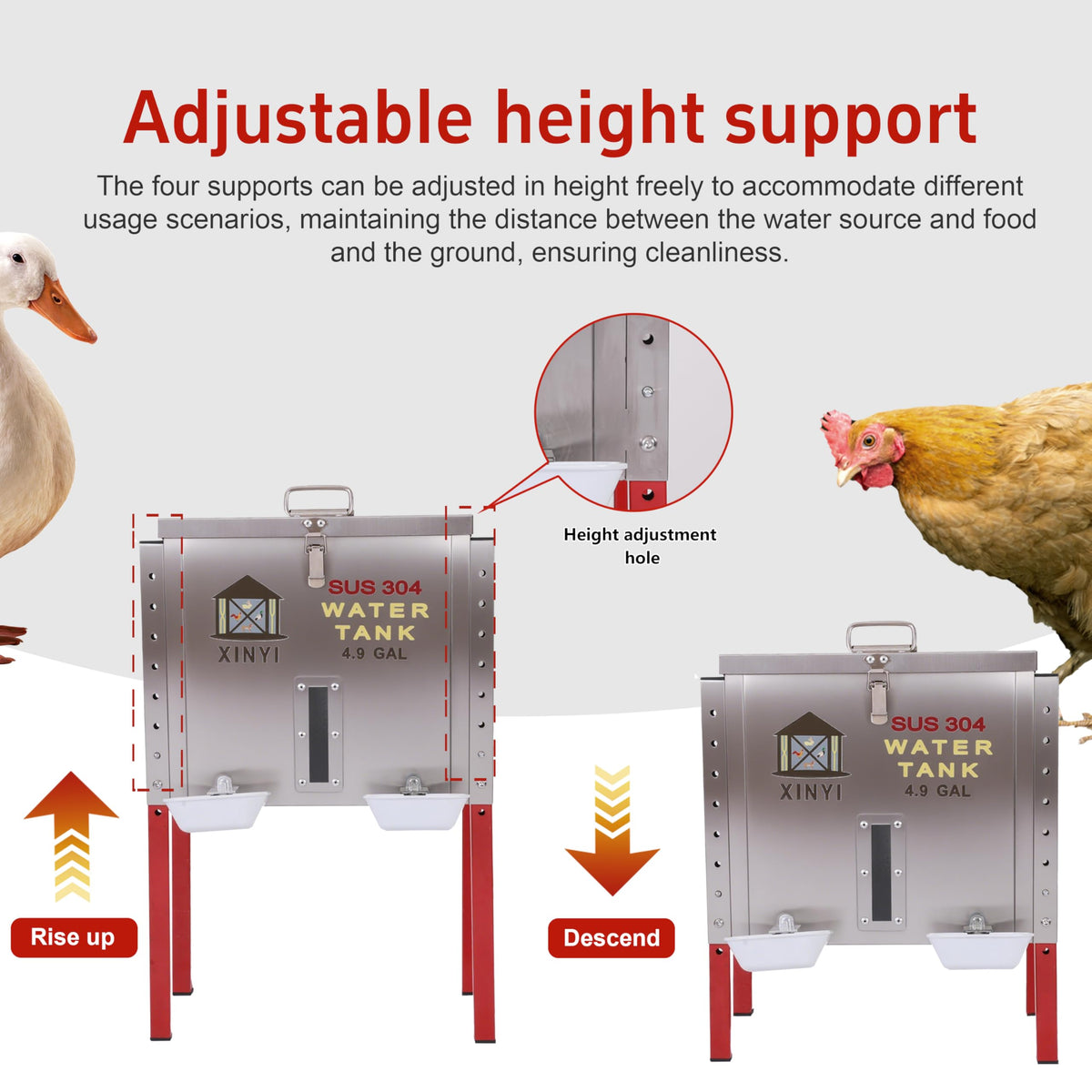 Automatic Chicken Waterer 4.9 Gallon D53253