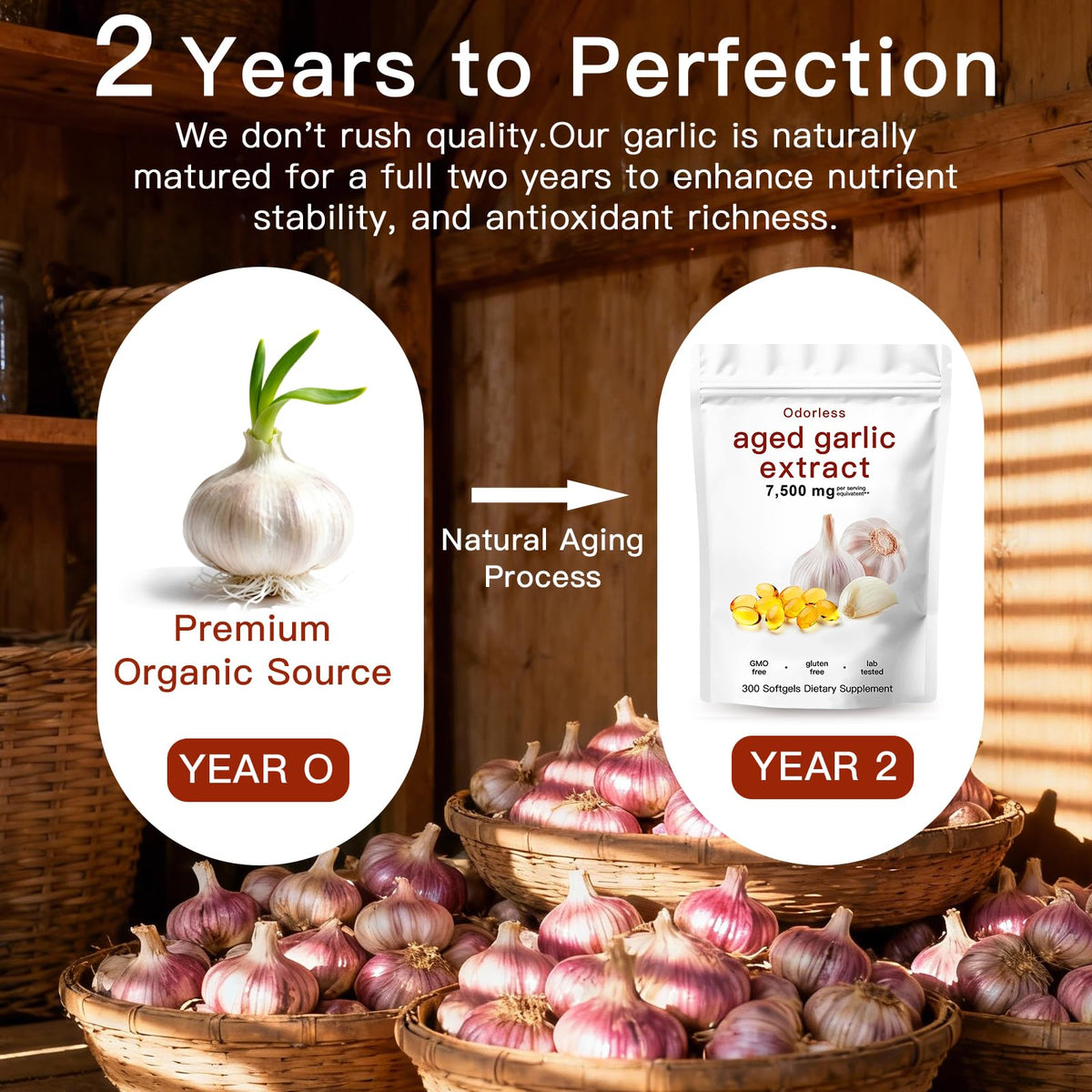 Odorless Organic Aged Garlic Extract Capsules F894482