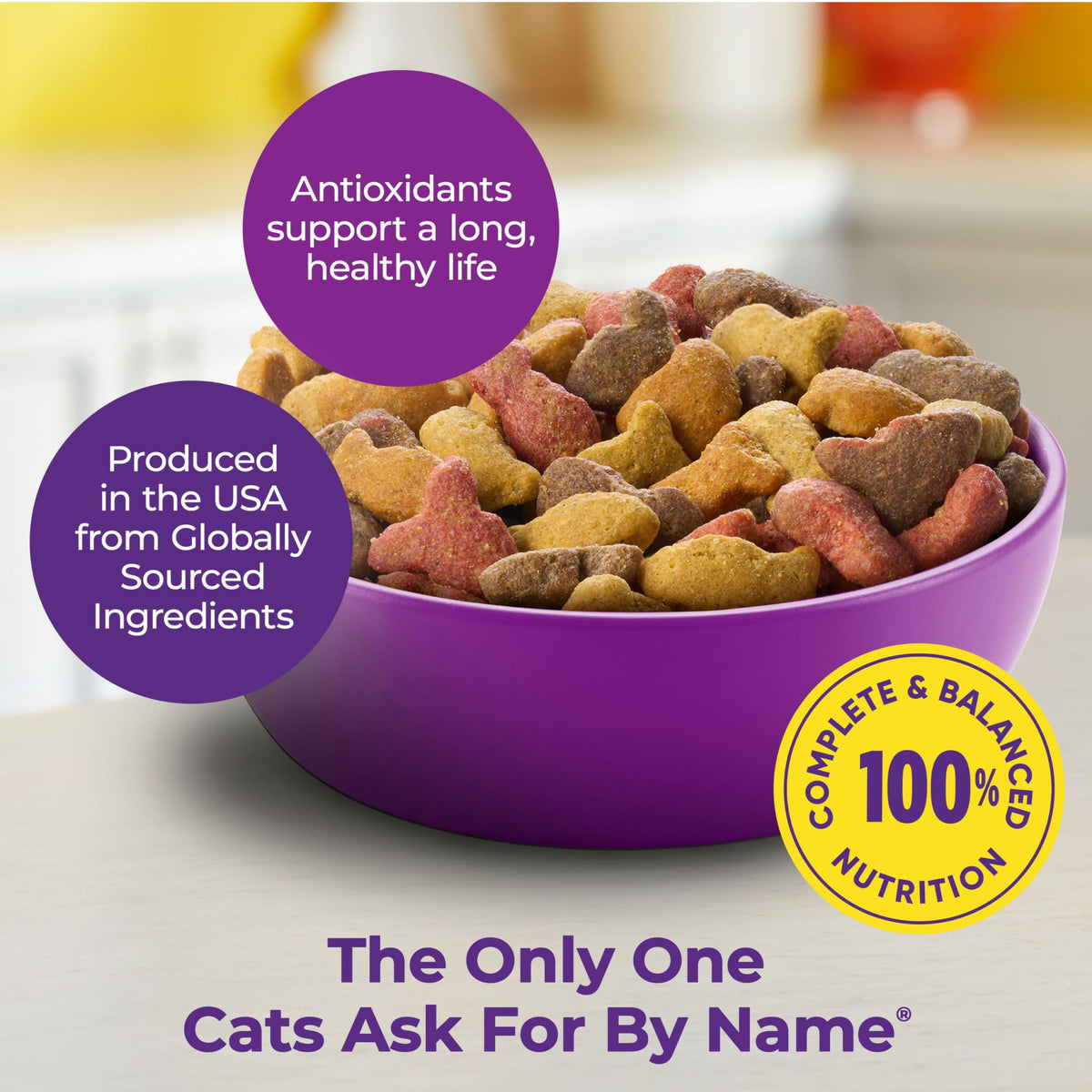 Dry Cat Food 6.3 Pound Bag + Wet Cat Food Variety Pack 2.75 Ounce Cups (Pack of 24) S337