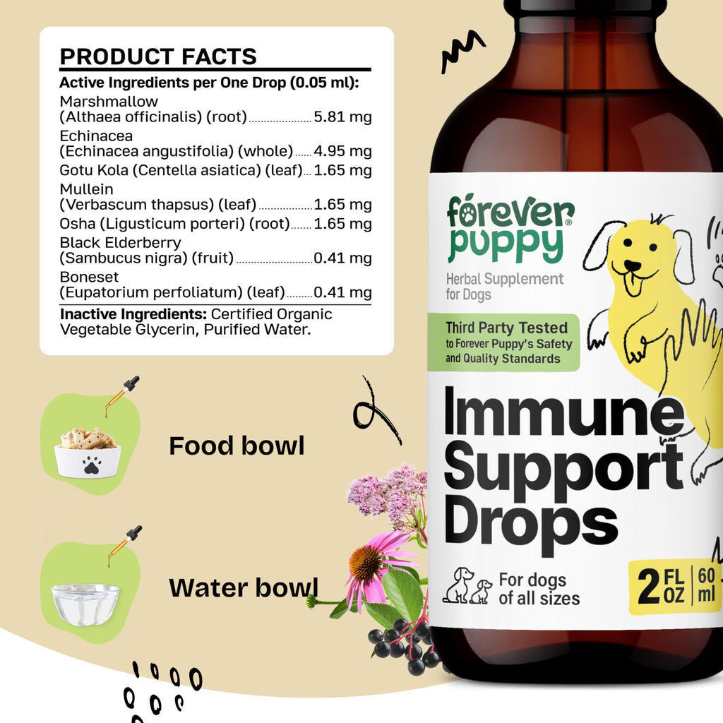 Elderberry Echinacea Dog Immune Support 2 oz B8722