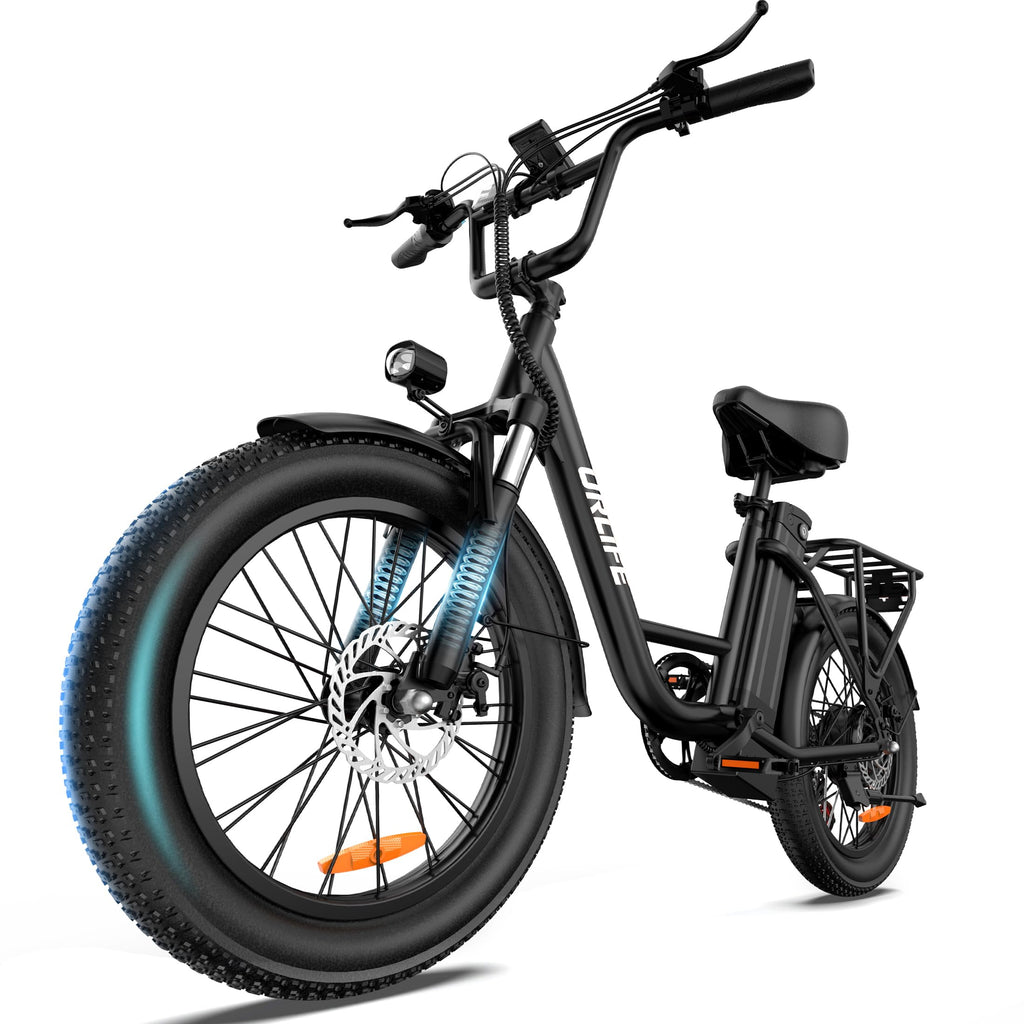 20" Fat Tire Electric Bike with 1000W Motor M48051