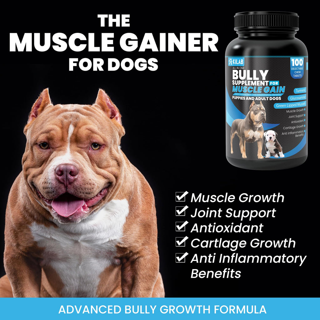 Dog Weight Gainer Supplement with Turmeric, Glucosamine, Green Lipped Mussels L6311