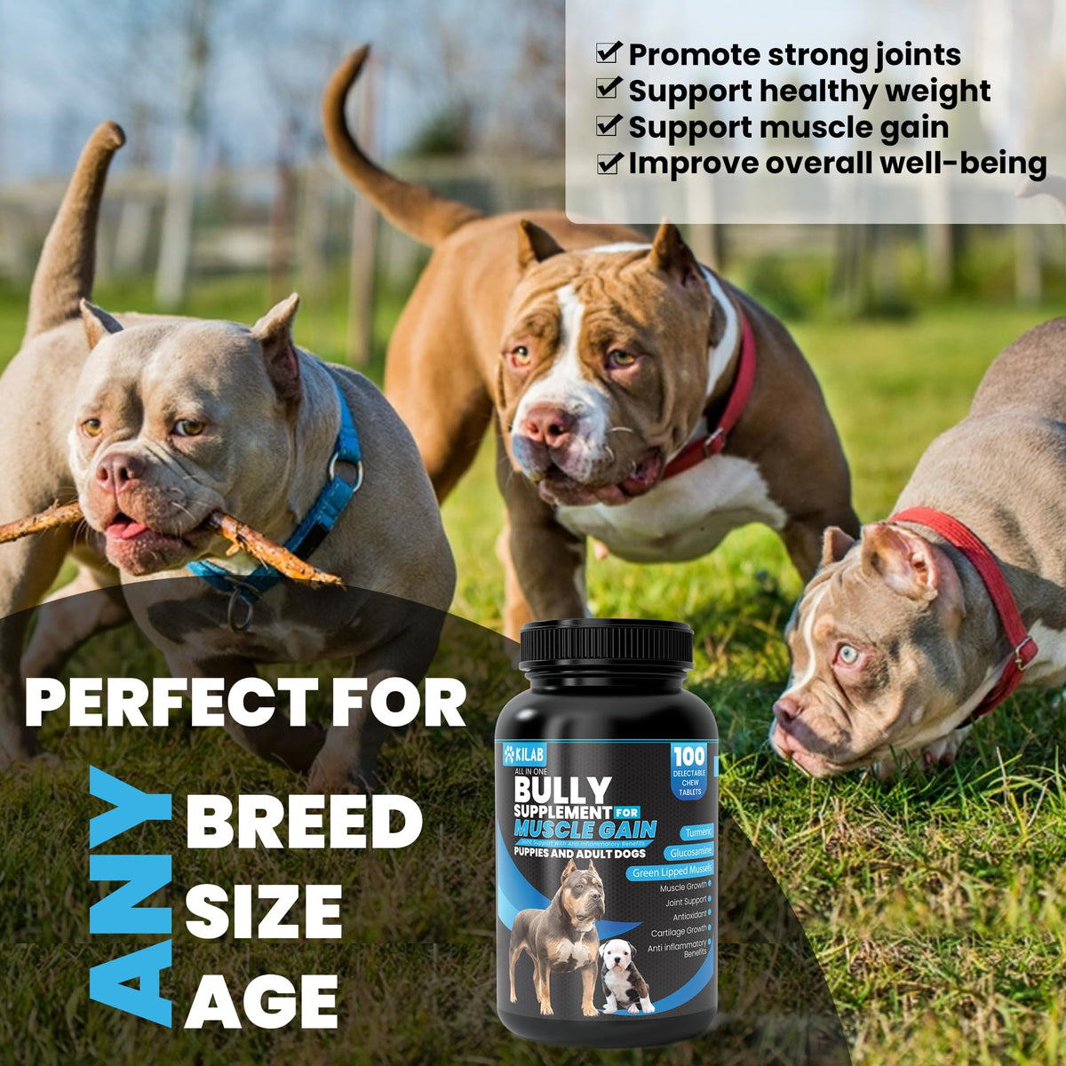 Dog Weight Gainer Supplement with Turmeric, Glucosamine, Green Lipped Mussels L6311