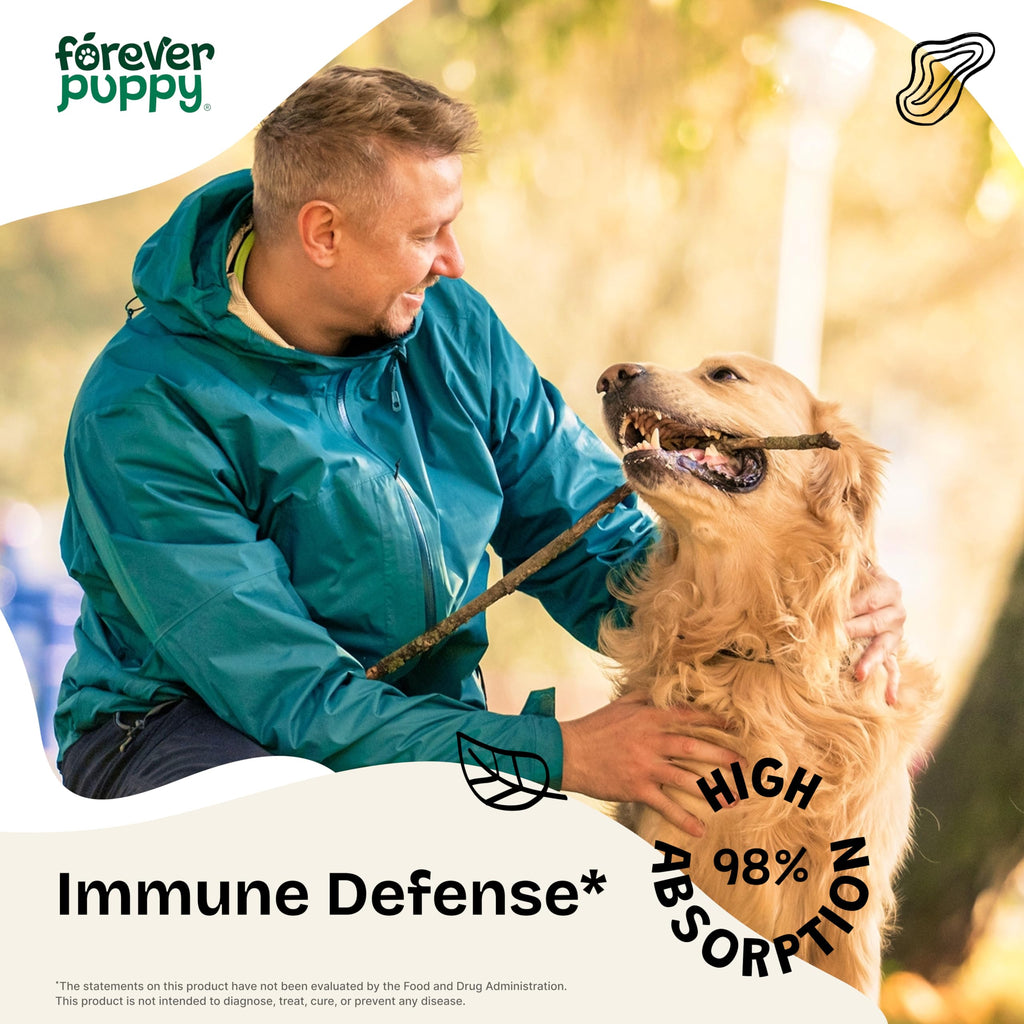 Elderberry Echinacea Dog Immune Support 2 oz B8722