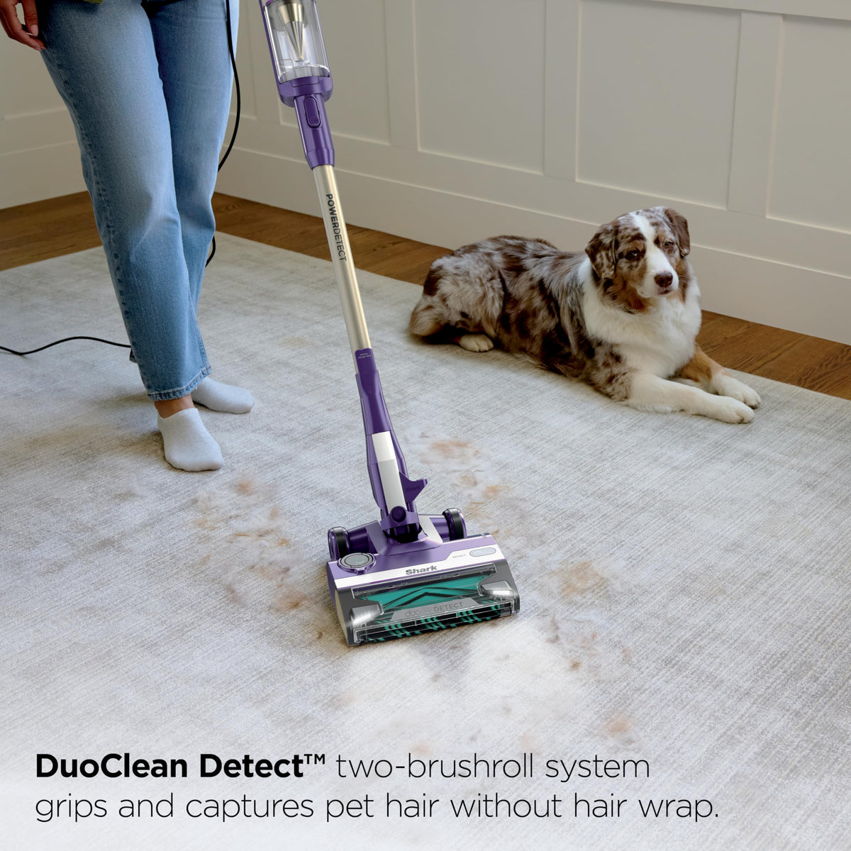 Corded Stick Vacuum E62644