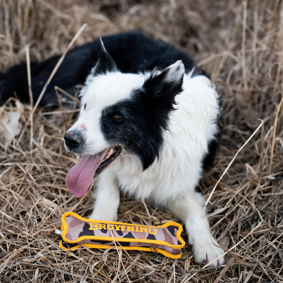 Canvas Bone Toy X6548
